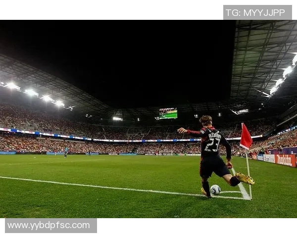 大猩猩足球巨星的成长之路与绿茵场上的辉煌时刻