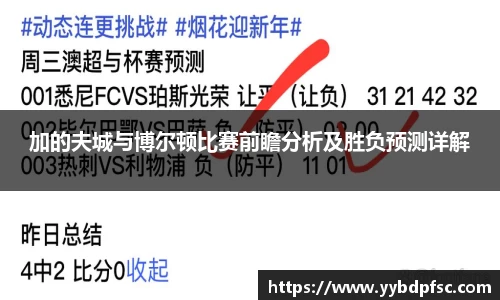 加的夫城与博尔顿比赛前瞻分析及胜负预测详解